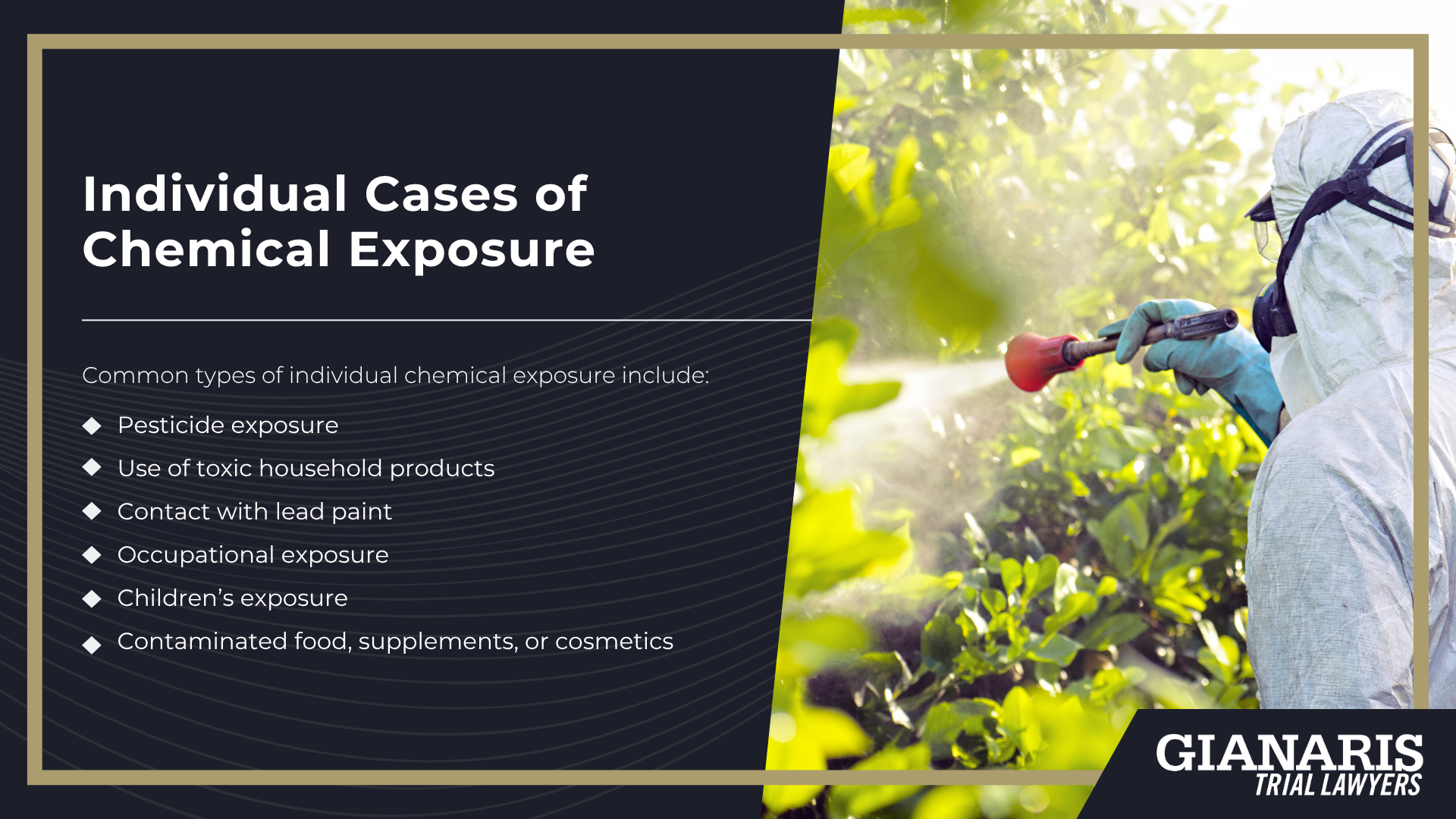 How Does Toxic Chemical Exposure Occur; What To Do If You Suspect Toxic Chemical Exposure; Types of Chemical Exposure_ Workplace, Community, and Individual Risks; Workplace Chemical Exposure Risks; Community Chemical Exposure Risks; Individual Cases of Chemical Exposure