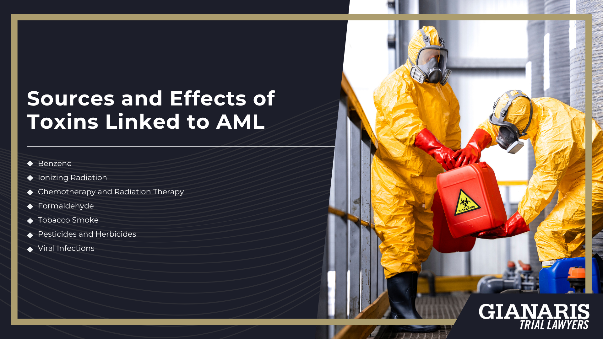 Symptoms of AML; Risk Factors for Getting AML; Occupations Most At Risk For Getting AML; Sources and Effects of Toxins Linked to AML