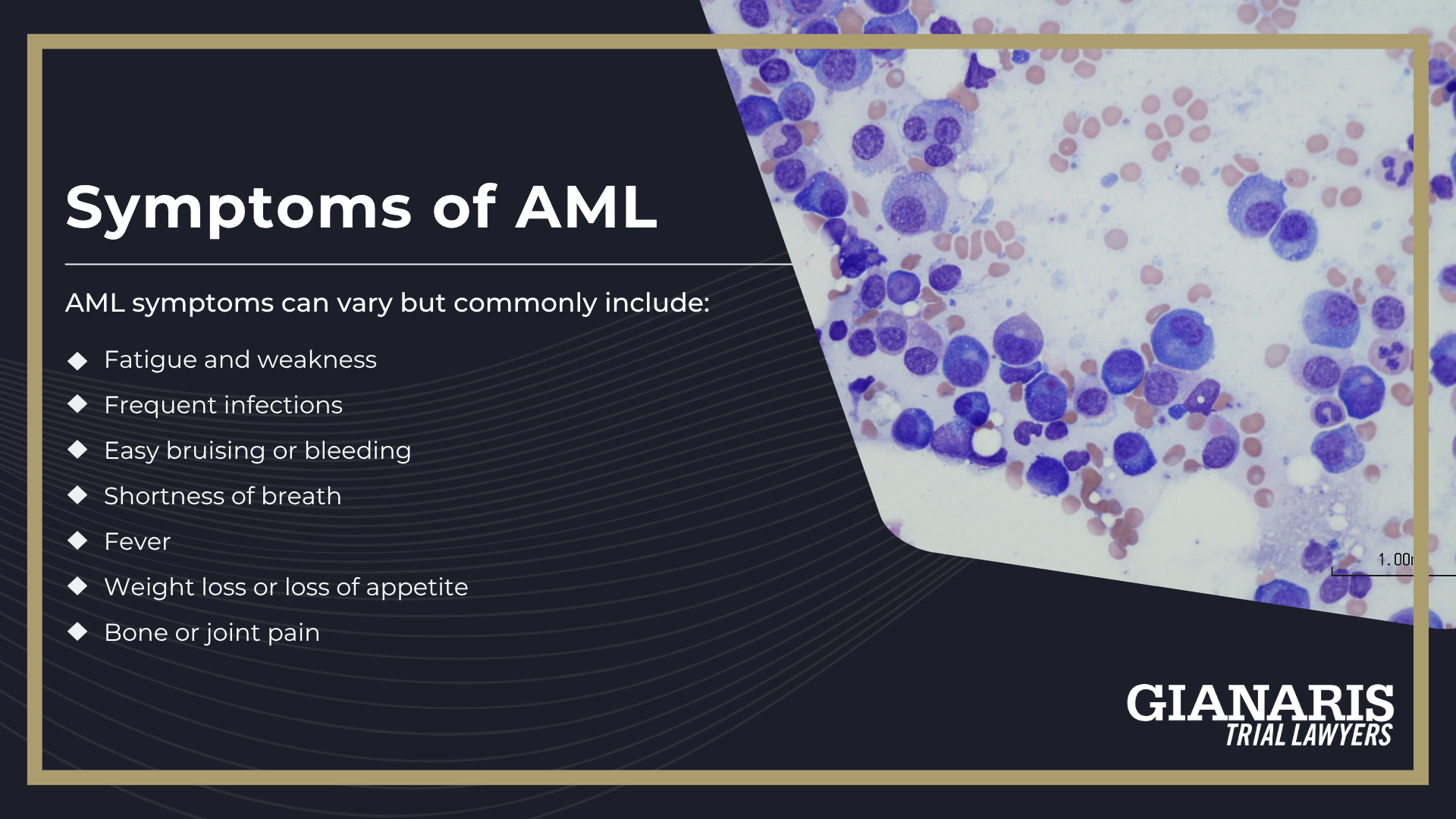 Symptoms of AML